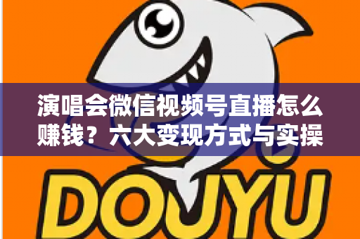 演唱会微信视频号直播怎么赚钱？六大变现方式与实操指南全面解析