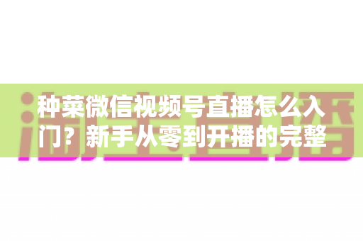 种菜微信视频号直播怎么入门？新手从零到开播的完整实操指南