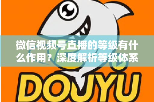 微信视频号直播的等级有什么作用？深度解析等级体系的价值、玩法与提升全攻略