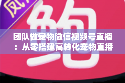 团队做宠物微信视频号直播：从零搭建高转化宠物直播间的完整实战指南