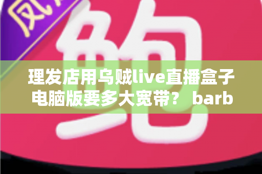 理发店用乌贼live直播盒子电脑版要多大宽带？ barber店主必看的带宽配置与优化全指南