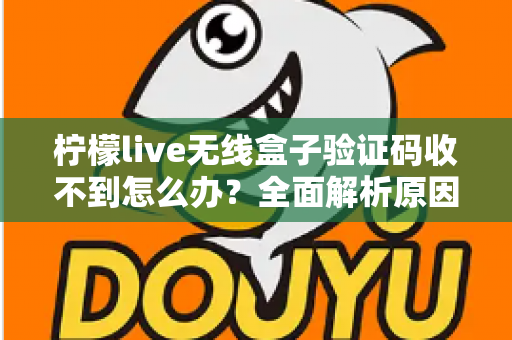 柠檬live无线盒子验证码收不到怎么办？全面解析原因与高效解决方法指南